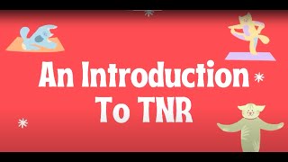 An Introduction to TNR