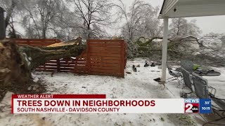 Trees down in Nashville neighborhoods amid winter storm