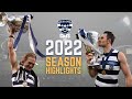 Geelong Cats 2022 Season Highlights