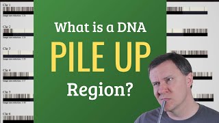 What is a Pileup Region in Genetic Genealogy?