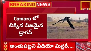 Camera లో చిక్కిన నిజమైన డ్రాగన్//Jurassic mysteries channel