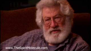 Mathematician Discusses Role of Math in Future Evolution