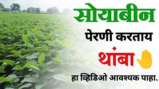 सोयाबीन पेरणी करण्यापूर्वी हा व्हिडिओ आवश्यक पहा | soybean pik niyogen | सोयाबीन पिक व्यवस्थापन 🔥