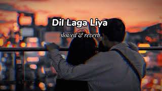 Dil Laga Liya maine | Slowed + Reverb | Alka Yagnik & Udit Narayan | T series Lyrics