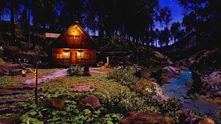 Peaceful Forest Ambience: Fireflies, Gentle Stream and Cricket Sounds