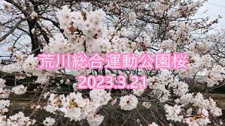 荒川総合運動公園20230321