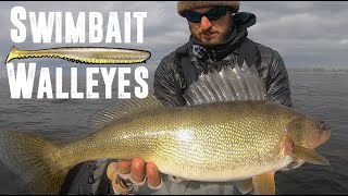 CRUSHING Big Walleyes On Swimbaits!
