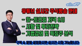 [주식투자-24.01.21] 균열을 보이기 시작한 민주당과 트럼프 취임 이후 급등한 종목 분석(#국영지앤엠 #일신석재 #아난티 #부산산업 #pn풍년 #화인베스틸 #세원물산 #에이텍