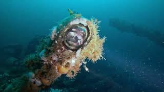 Malin Head Wreck Diving - July 2023 HD