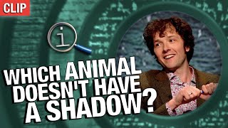 Which Animal Doesn't Have A Shadow? | QI