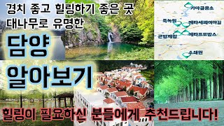 국내여행 대나무가 유명한 힐링하기좋은 곳 담양 알아보기! 온앤오프 이엘리야님과 예능 바퀴달린집에서 왜 담양을 선택했는지 알 것 같네요 PS이엘리야님 담양 게스트하우스?