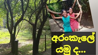 කුරුණෑගලට අභිමානයක් වූ සුන්දර  අරංකැලේ .Let's visit the beautiful Arankele in kurunegala.#arankele