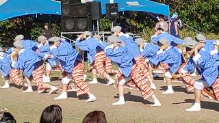 川棚菜の花よさこい祭り　2023年4月2日(日)　　舞龍人　ぶりゅうじん