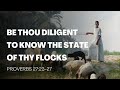 Proverbs 27:23-27 | Be Thou Diligent To Know The State Of Your Flocks | Daily Manna