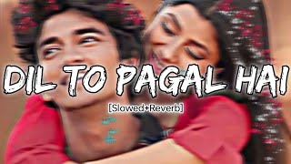 DIL TO PAGAL HAI | Slowed+Reverb | New Remix Song 2023