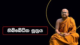 නිබ්බේධික සූත්‍රය | Nibbedhika Suthraya (2023.08.01)