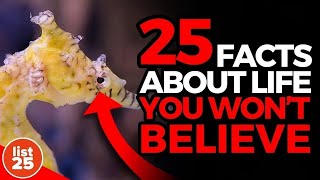 25 Facts About Life You Won't Believe You Didn't Already Know