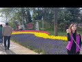 🇹🇷 turkey istanbul tulip festival emirgan korusu 4k