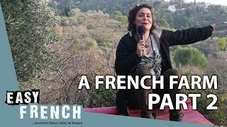 A French farm (2) | Super Easy French 21