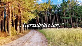 Kaszubskie lasy — Kashubian forests