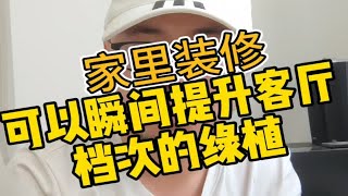 可以瞬间提升客厅档次的5种绿植，记得收藏！