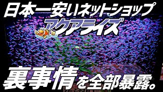 【激安】日本一安いアクアショップ、アクアライズの裏事情を全部暴露します。#130【アクアリウム】