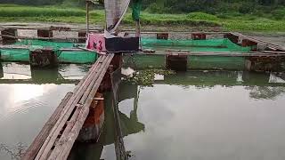 jalan pagi ke saung dan kolam ikan terapung di bendungan sungai cijere