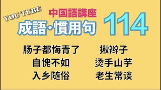 【中級中国語講座】よく使う「成語」と「慣用句」特集・第114回