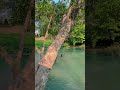 best waterfalls in thailand 🇹🇭 saraburi shorts youtubeshorts