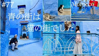 世界猫セラピー紀行 モロッコ/シャウエン編【世界一周#77】モロッコ🇲🇦vlog