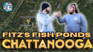 New Fitz’s Fish Ponds Location in Chattanooga, TN!