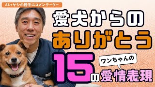 愛犬からのありがとう！獣医師が教える15の愛情表現【あなたは気づいていますか？】