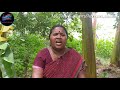 நடவு பாடல் நடவுப் பாடல்கள் கிராமத்து நடவுப் பாடல்கள் transplanting song nadavu song