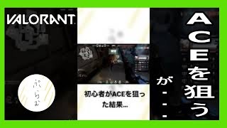 初心者がACEを狙った結果…【VALORANT】