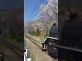 japanese el train of oigawa train el oigawarailway かわね路