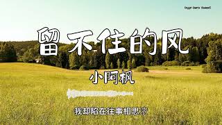 小阿枫 - 『留不住的风』 - 【動態歌詞版】