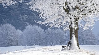 29.12.2024 | Nabożeństwo niedzielne - Chrześcijańska Wspólnota Zielonoświątkowa w Kłodzku