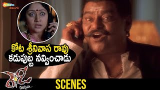 Kota Srinivasa Rao Hilirious Comedy | Ready Telugu Full Movie | Genelia | Ram Pothineni | Nassar