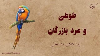 حکایتی از مولانا: طوطی  و مرد بازرگان