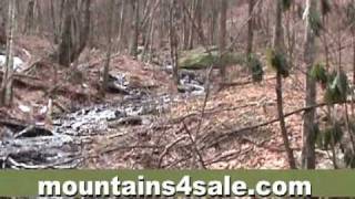 134 Acres Ashe Co NC (Acreage)