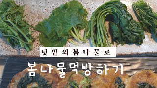 시골 밥상. 봄나물 요리. 자연식 요리하기