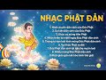 Nhạc Phật Đản 2024 | Tuyển tập bài hát mừng ngày Đức Phật đản sinh | Nhạc Phật giáo | Chùa Ba Vàng