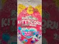 Rainbocorn kittycorn magic