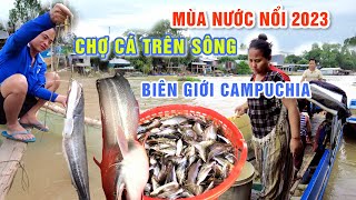 BẤT NGỜ CHỢ CÁ ĐỒNG TRÊN SÔNG BIÊN GIỚI CAMPUCHIA MÙA NƯỚC NỔI 2023 - CHỢ BẮC ĐAI | OKDD