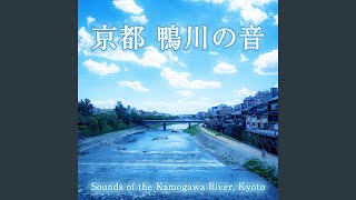 鴨川の音 - 二条大橋から御池大橋