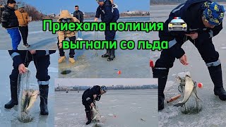 Судак по 4 шт за раз ВСЕ ХАПУГИ ПОРВАЛИ В лунку не лезут #рыбалка #fishing #낚시 #carpfishing #кино