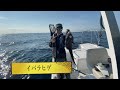 相模湾の深海１０００mで釣りしたら海面に魚が浮いてきた・・・！