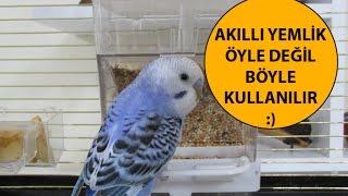 Akıllı Yemlik Öyle Değil Böyle Kullanılır