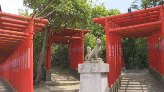 4K 福徳稲荷神社 / Hukutoku Inari Shrine in Yamaguchi / Ultra HD