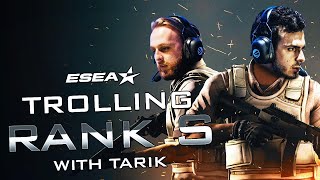 TROLLING RANK S WITH TARIK